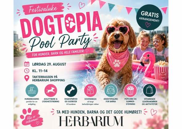 Ta med hunden din på festival 